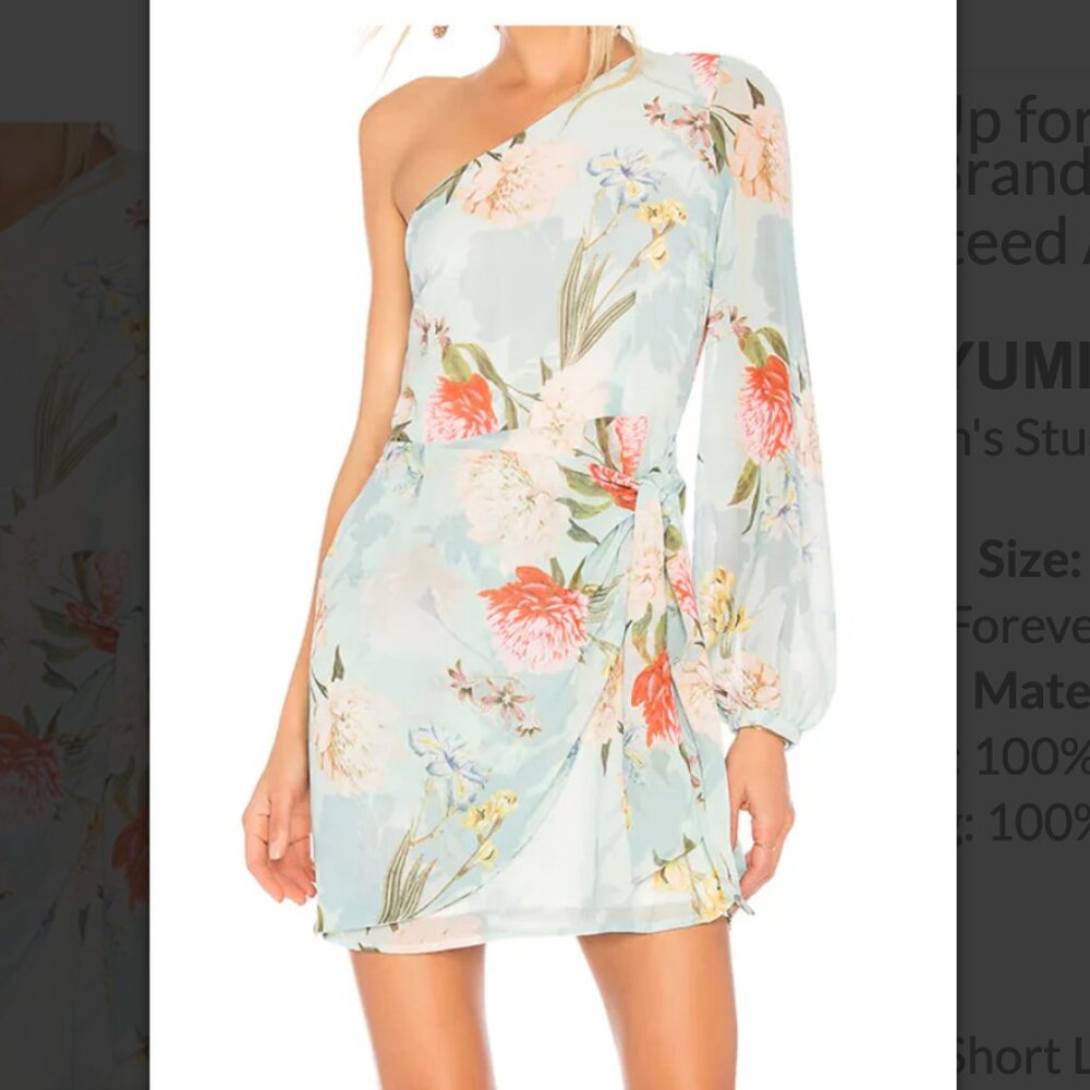 NWT Yumi Kim Forever Yours Jade Studio 54 Dress | Size L